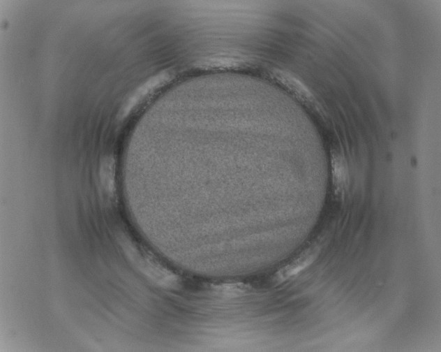 X0000070410396200606231833