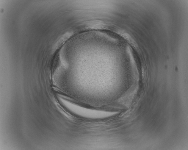 X0000070410397200606231833