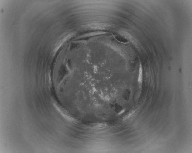 X0000070410398200606231833