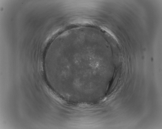 X0000070410399200606231833