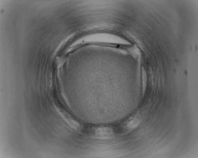 X0000070410400200606231833