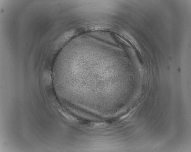 X0000070410401200606231833