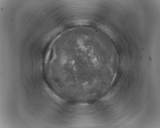 X0000070410402200606231833