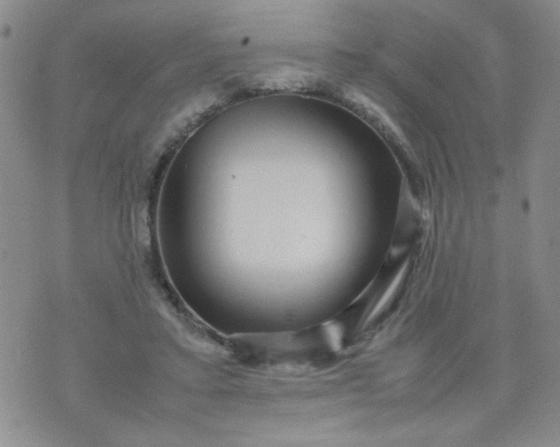 X0000070410403200606231833