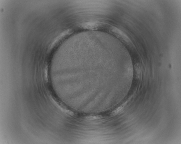 X0000070410404200606231833