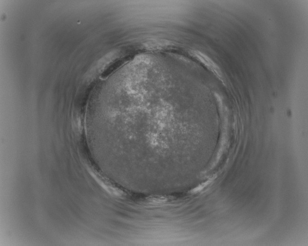 X0000070410405200606231833