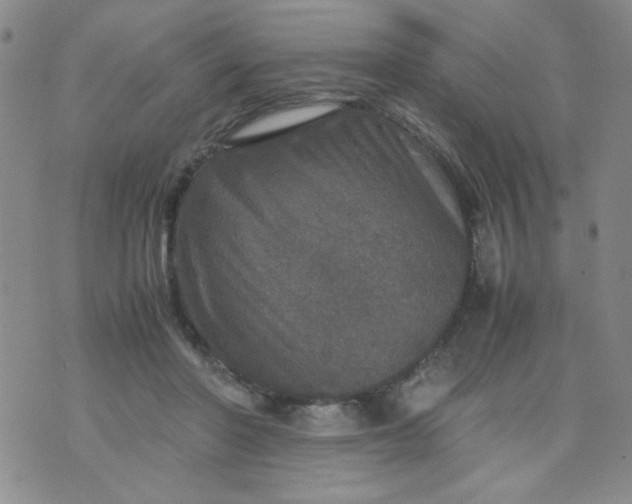 X0000070410406200606231833