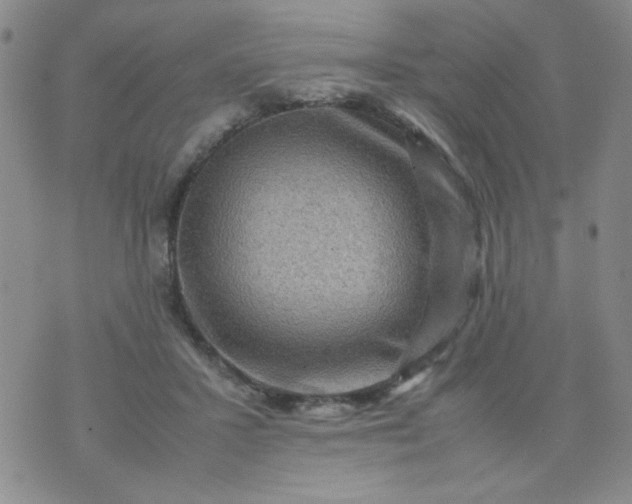 X0000070410407200606231833