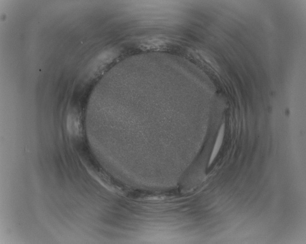 X0000070410408200606231833