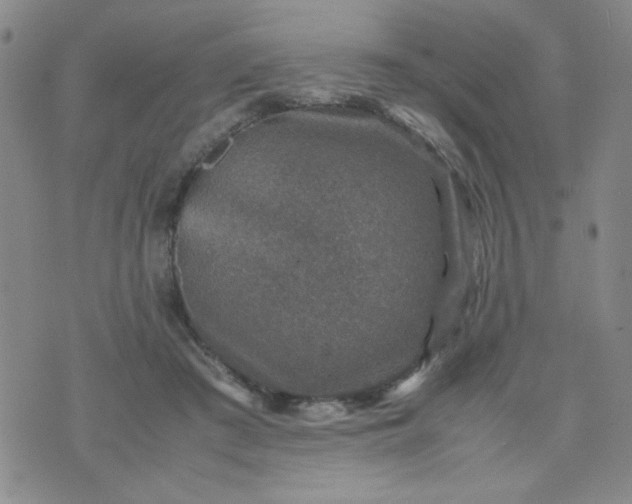 X0000070410409200606231833