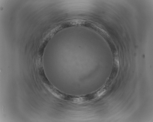 X0000070410411200606231833