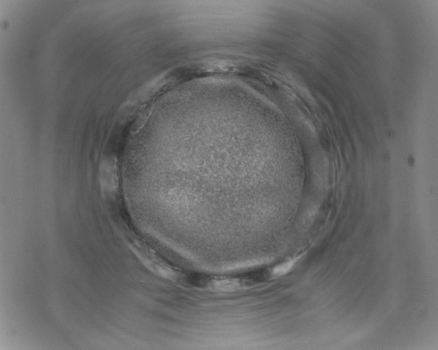 X0000070410413200606231833