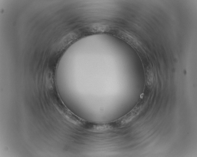 X0000070410414200606231833