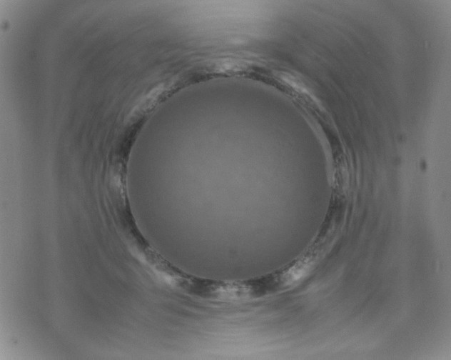 X0000070410415200606231833