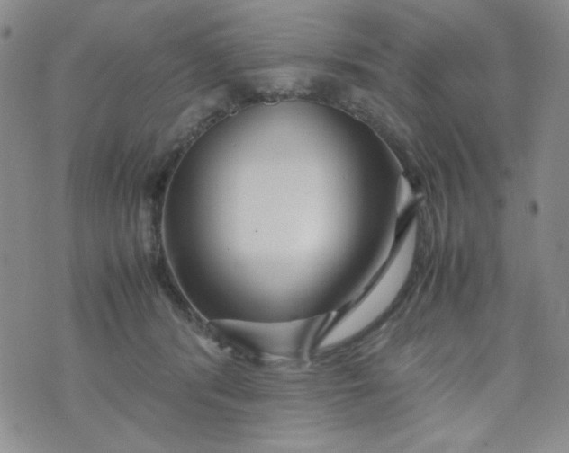 X0000070410416200606231833