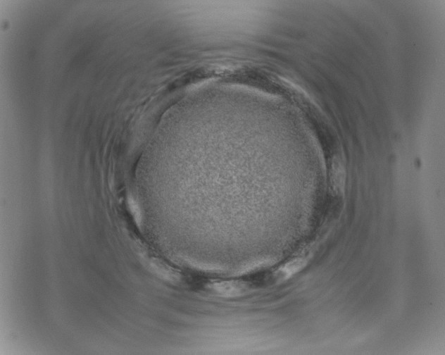 X0000070410417200606231833