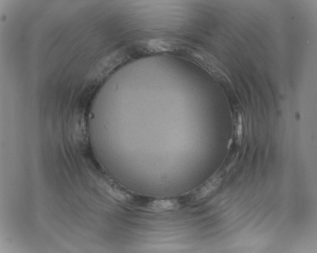 X0000070410418200606231833