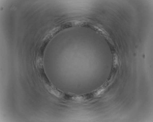 X0000070410419200606231833