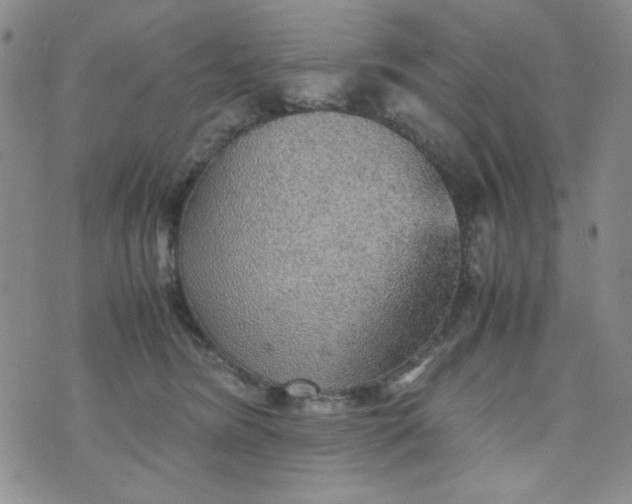 X0000070410420200606231833