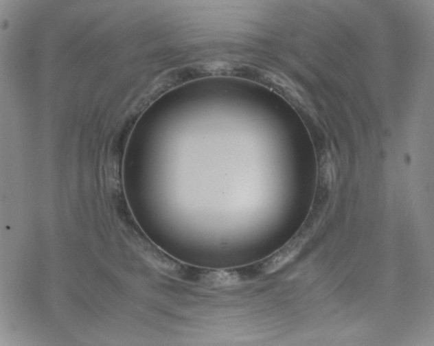 X0000070410421200606231833