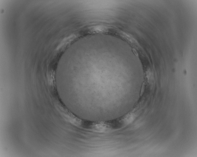 X0000070410423200606231833