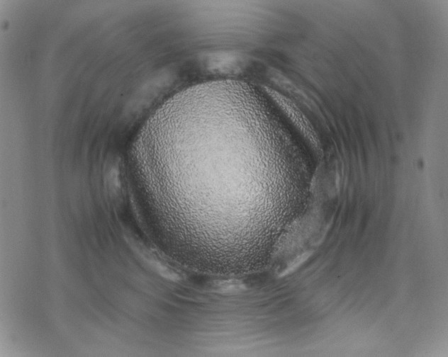 X0000070410424200606231833