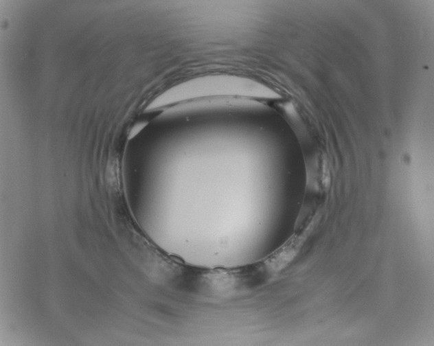 X0000070410425200606231833