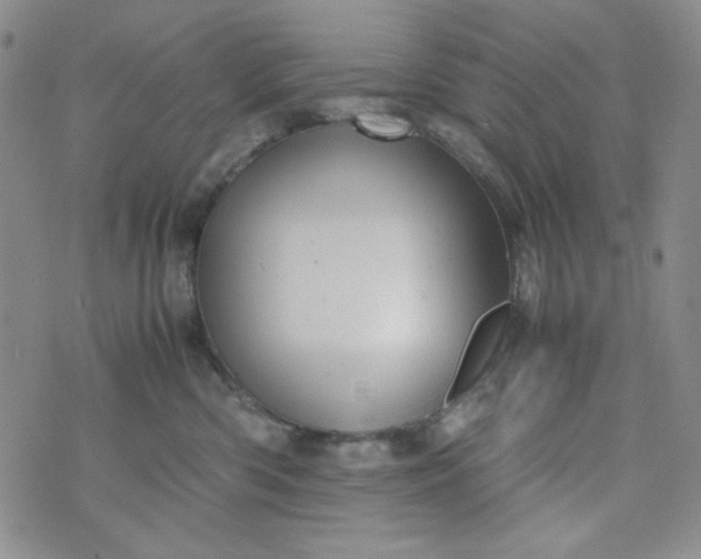 X0000070410426200606231833