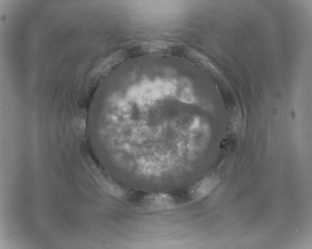 X0000070410427200606231833