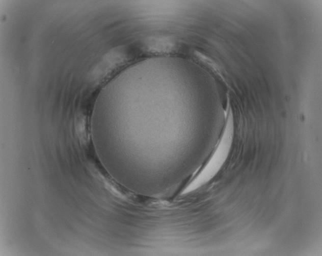 X0000070410428200606231833