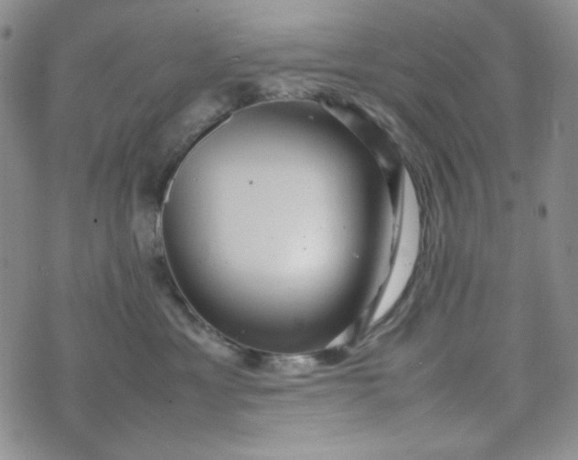 X0000070410429200606231833