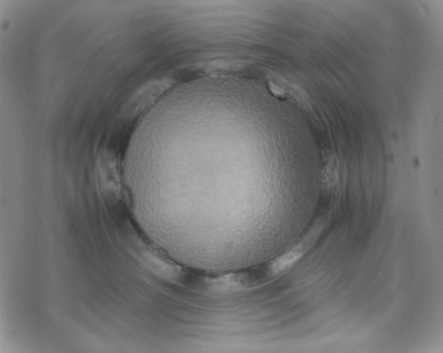 X0000070410430200606231833