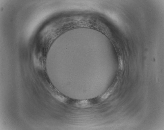 X0000070410431200606231833