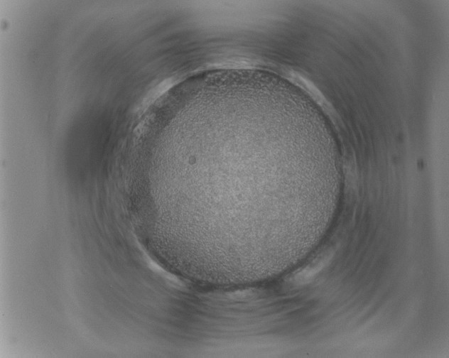 X0000070410433200606231832