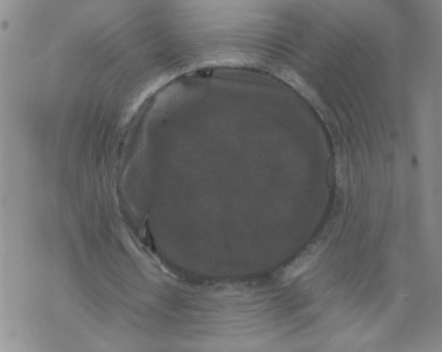 X0000070410434200606231832