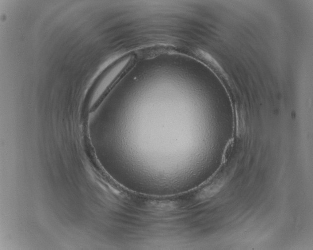 X0000070410435200606231832