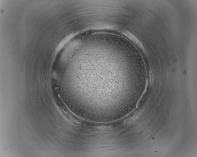 X0000070410436200606231832