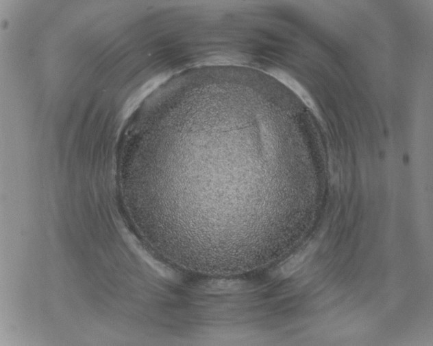 X0000070410437200606231832