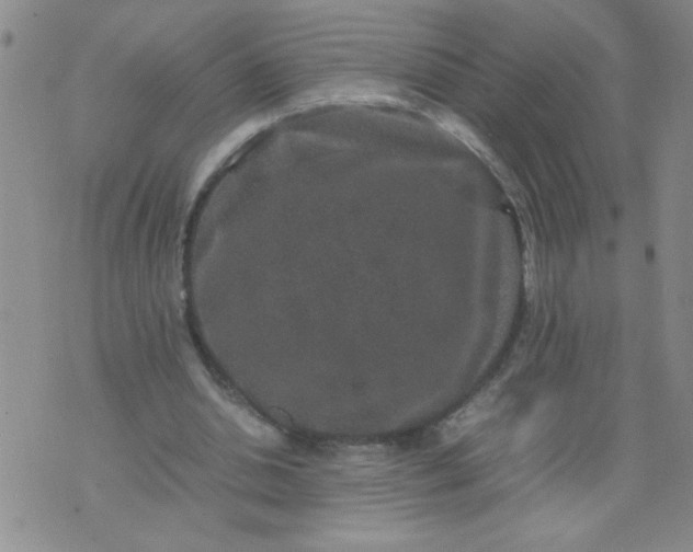 X0000070410438200606231832