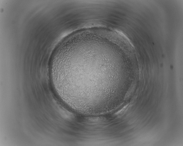 X0000070410439200606231832