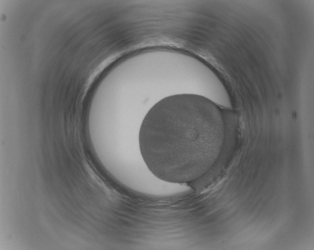 X0000070410440200606231832