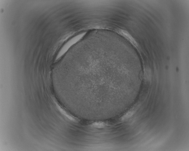 X0000070410441200606231832