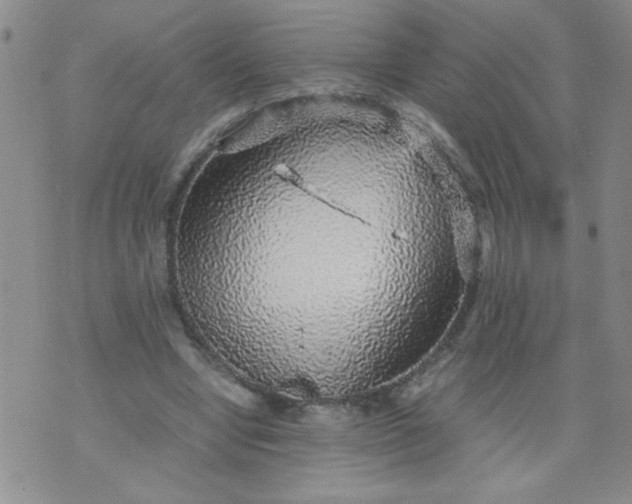 X0000070410442200606231832