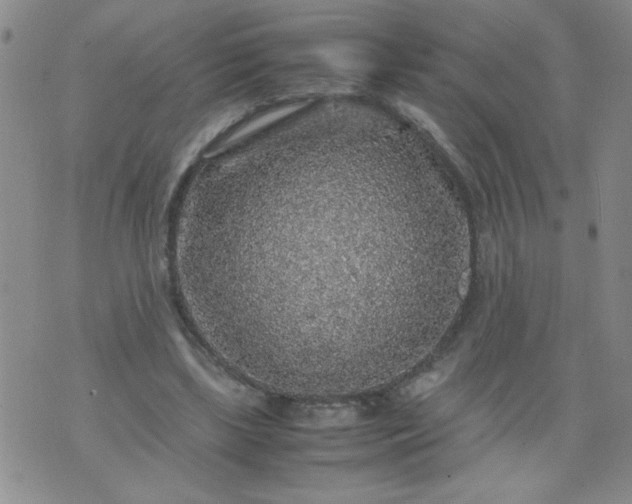 X0000070410443200606231832