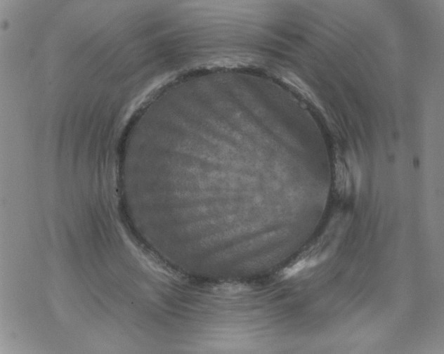 X0000070410444200606231832