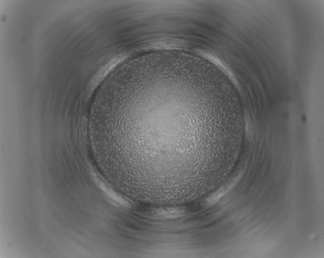 X0000070410445200606231832