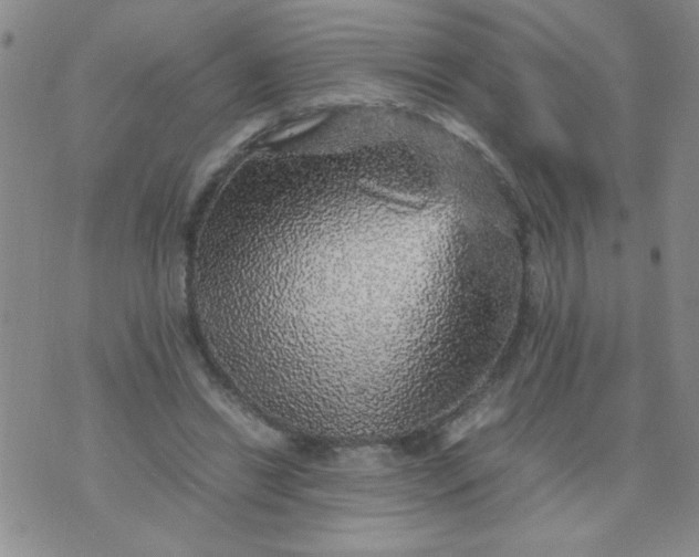 X0000070410446200606231832