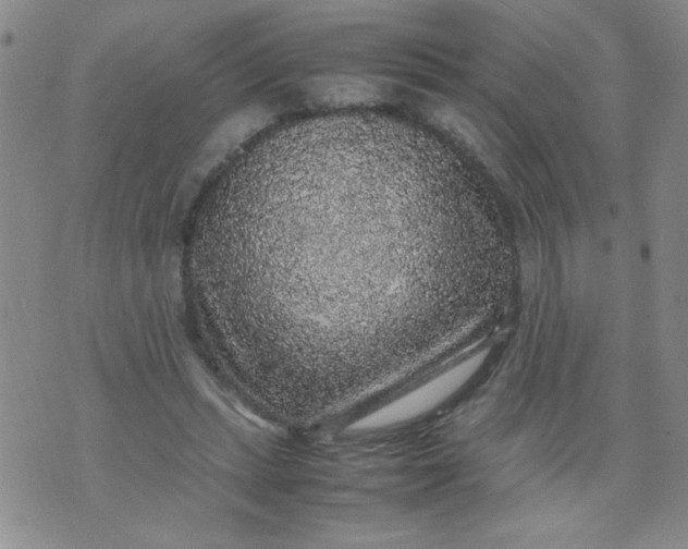 X0000070410447200606231832