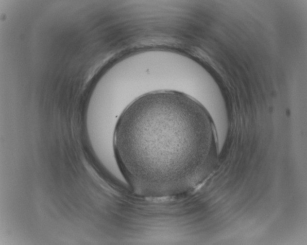 X0000070410448200606231832