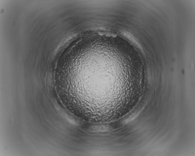 X0000070410449200606231832